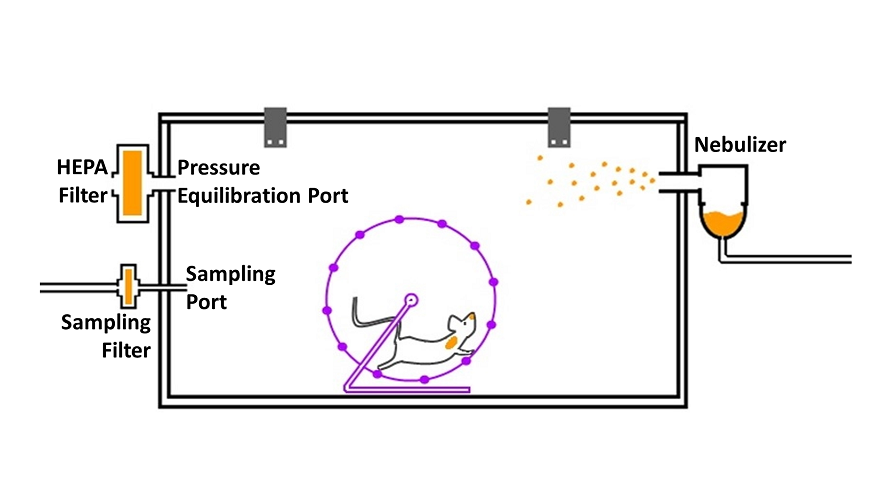 Efficacy of Inhalational Gentamicin Treatment in a Pneumonic Plague Murine model