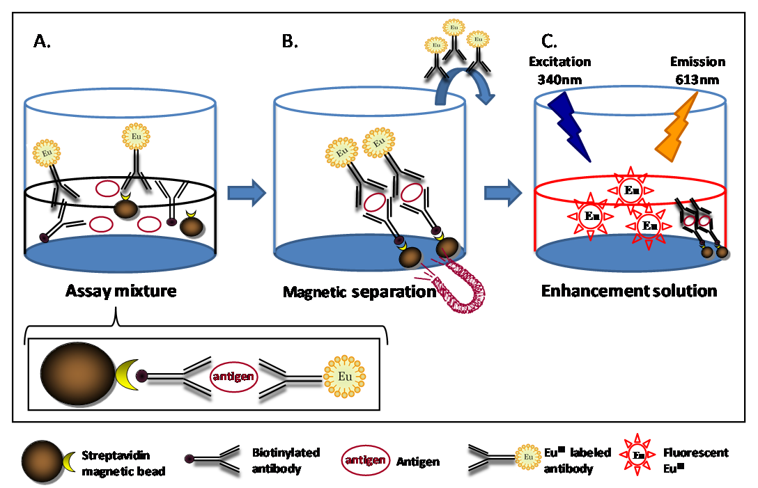 immunoassays2.png