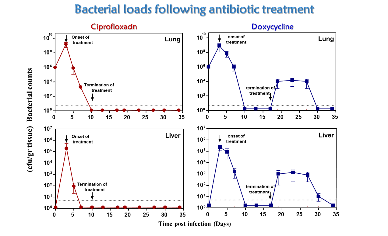 bacterialoads.png