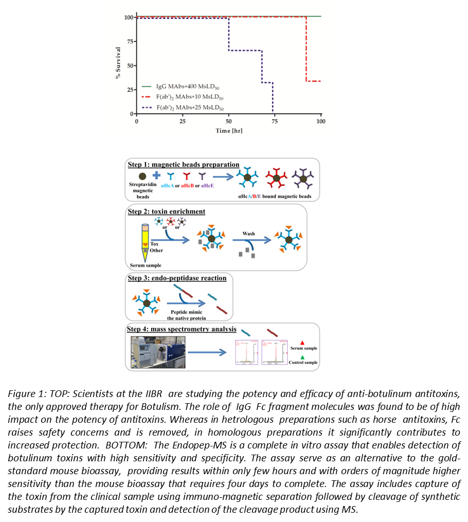 antitoxins.png