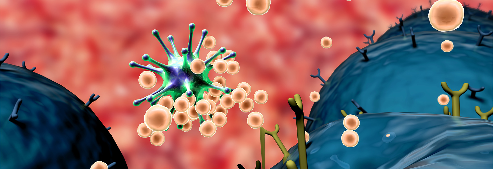 Pathogenesis and host-pathogen/toxin interaction