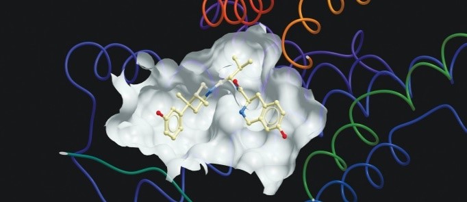 Rational planning of biologically-active small molecules 