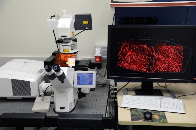 Light Microscopy Center.jpg